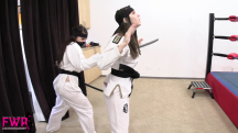 Karate Ninja Trials - 13
