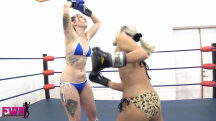 Belly Boxing Battle - 16